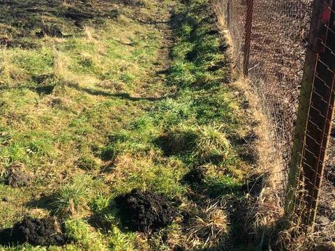 участок по адресу 