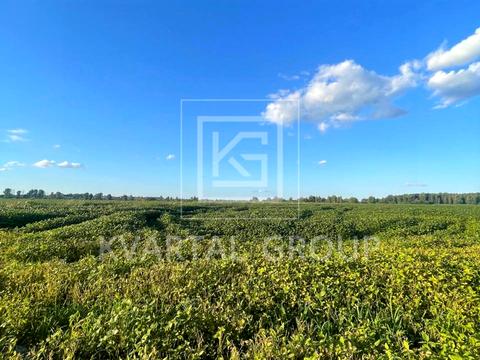 участок по адресу 