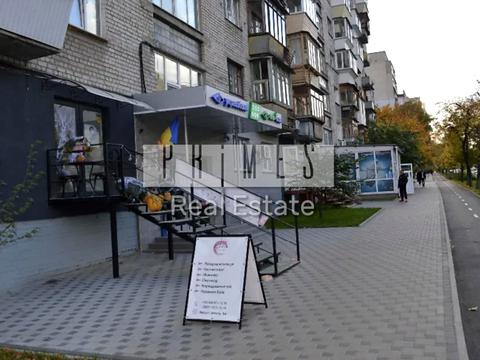 комерційна за адресою Борщагівська вул., 117