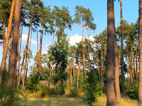 ділянка за адресою Сілезька вул. (Рози Люксембург)