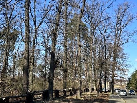 ділянка за адресою Сілезька вул. (Рози Люксембург)