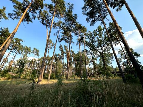 участок по адресу Силезская ул. (Розы Люксембург)