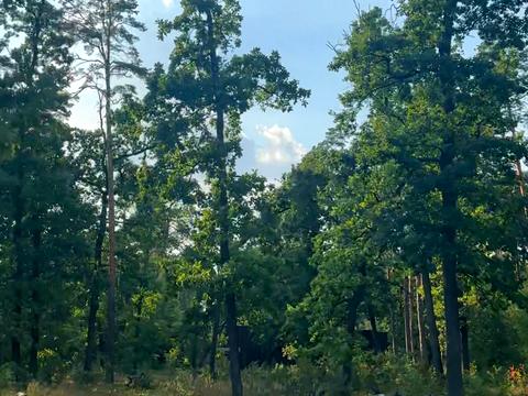 ділянка за адресою Сілезька вул. (Рози Люксембург)