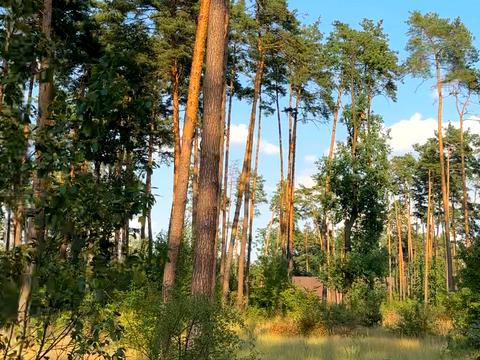 ділянка за адресою Сілезька вул. (Рози Люксембург)
