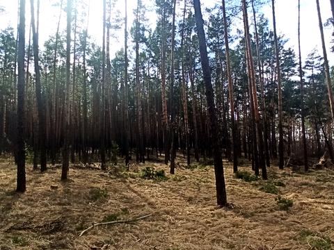 ділянка за адресою Хмельницького