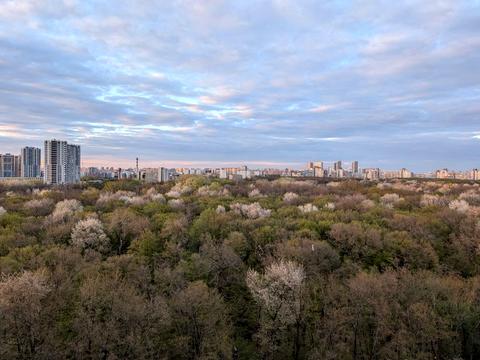 квартира за адресою с. Новосілки, Приміська вул., 22-Б