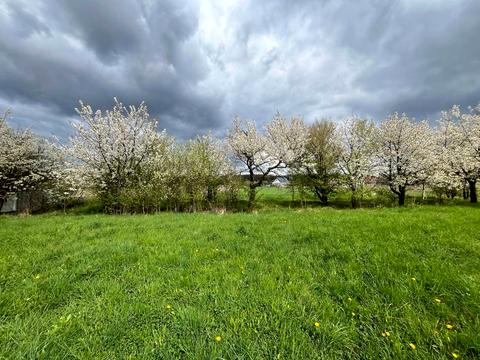 ділянка за адресою Івана Франка вул., 125