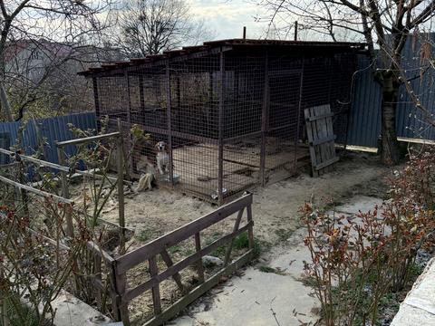 будинок за адресою Золотиста вул.