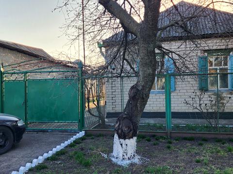 дом по адресу Удільна