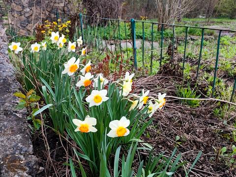 дом по адресу Грушевского ул.