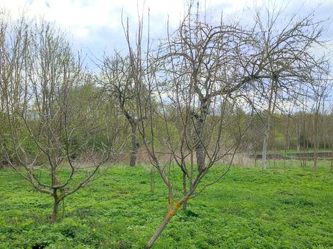 будинок за адресою Кінцева, 17