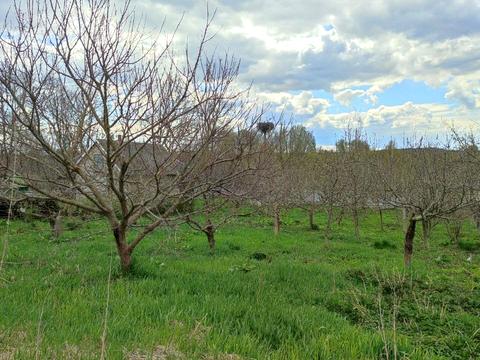 будинок за адресою Кінцева, 17
