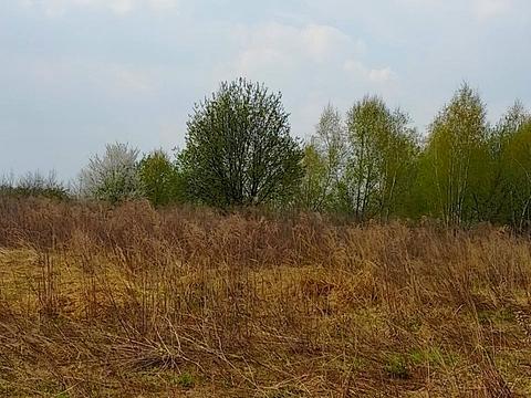 участок по адресу Шевченка, 44