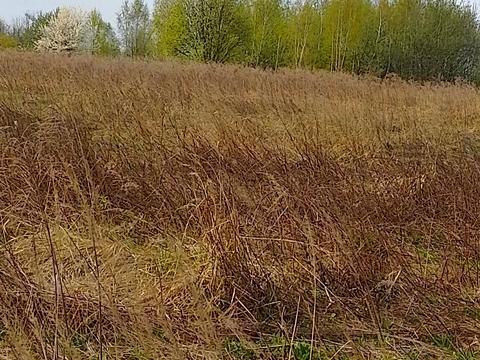 участок по адресу Шевченка, 44