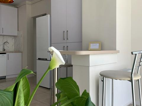 квартира за адресою Княгині Ольги вул., 122а