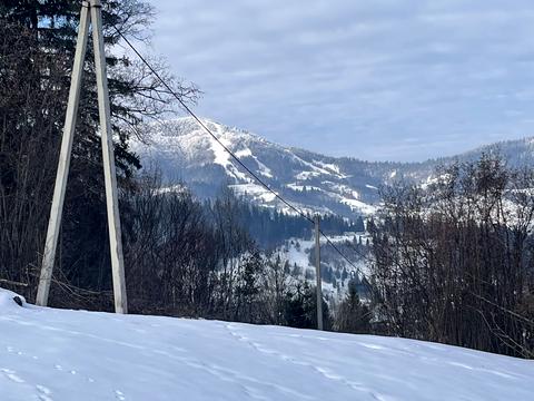 участок по адресу Леси Украинки ул.