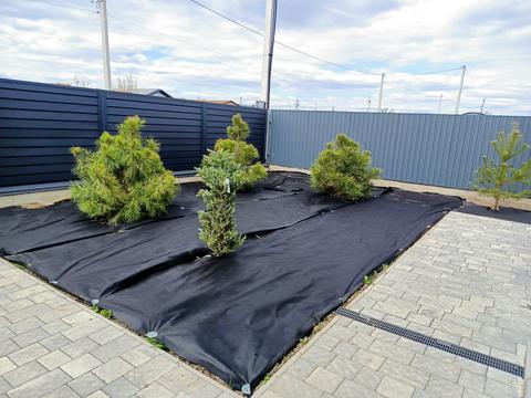 дом по адресу Гагарина ул., 15