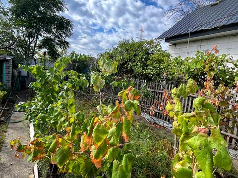 участок по адресу Безымянная ул., 55А