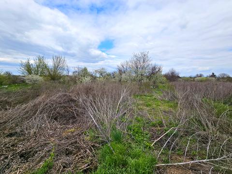 участок по адресу Большая Диёвская ул. (Братьев Трофимовых), 336-А