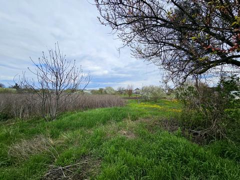 участок по адресу Большая Диёвская ул. (Братьев Трофимовых), 336-А