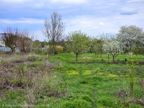 участок по адресу Большая Диёвская ул. (Братьев Трофимовых), 336-А