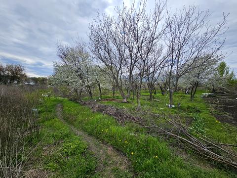 участок по адресу Большая Диёвская ул. (Братьев Трофимовых), 336-А
