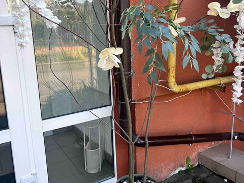 комерційна за адресою Миколи Ващука вул. (Квятека), 20б