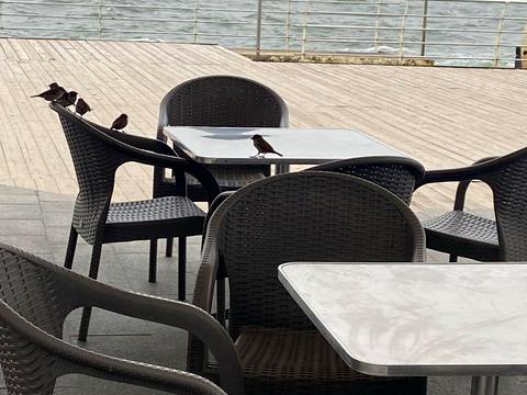 квартира по адресу Вячеслава Черновола ул., 8