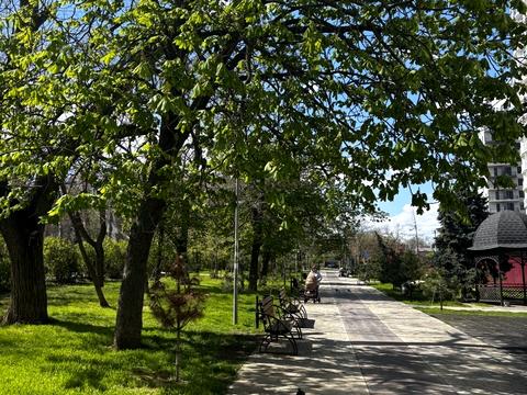 квартира за адресою Ванний пров., (Будинок)