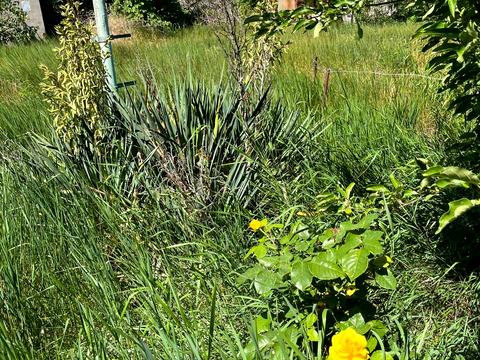 участок по адресу Безымянная ул., 55А