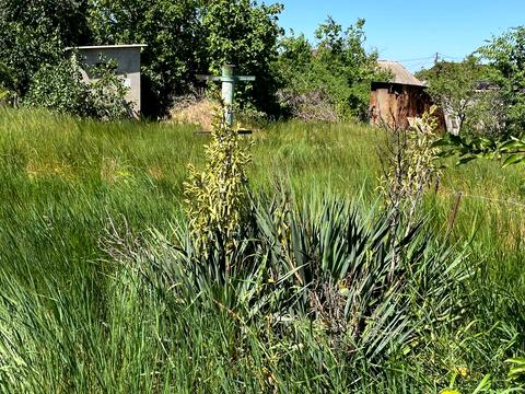 участок по адресу Безымянная ул., 55А