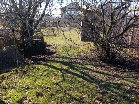 участок по адресу Виноградна, 14