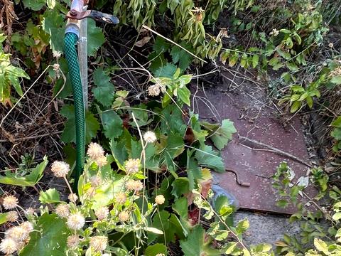 участок по адресу Безымянная ул.