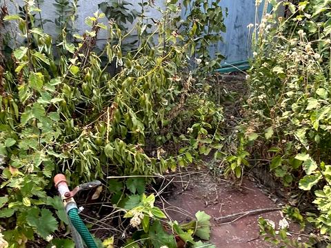 участок по адресу Безымянная ул.