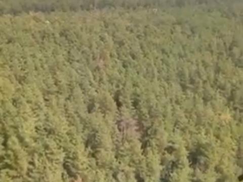 квартира по адресу Светлая ул., (Будинок 3)