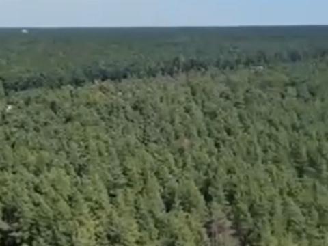 квартира по адресу Светлая ул., (Будинок 3)