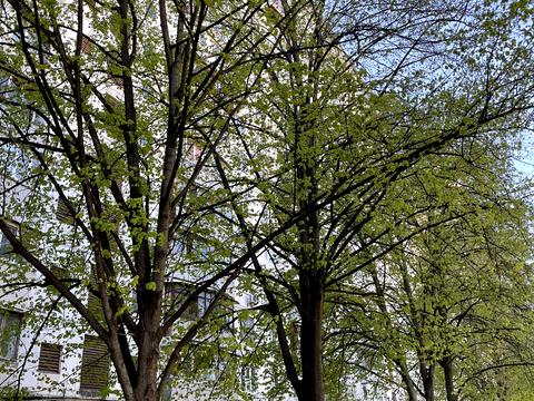 квартира по адресу Голосеевский просп. (40-летия Октября), 11