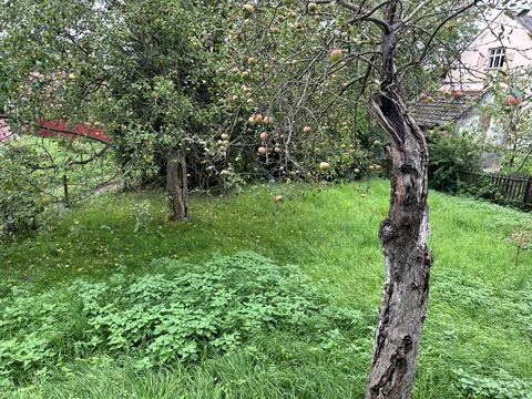 дом по адресу Михайла Коцюбинського ул.