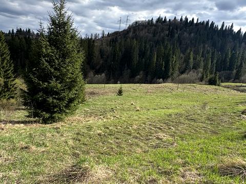 ділянка за адресою 