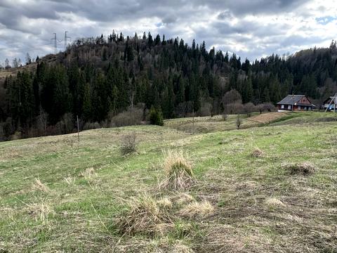 ділянка за адресою 