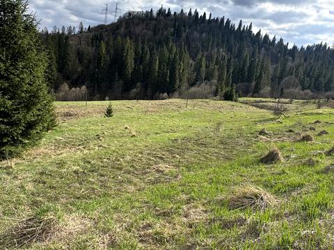 участок по адресу 