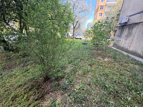 комерційна за адресою Минайська вул., 111