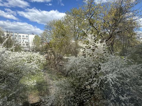 квартира по адресу Корольова пл., 5