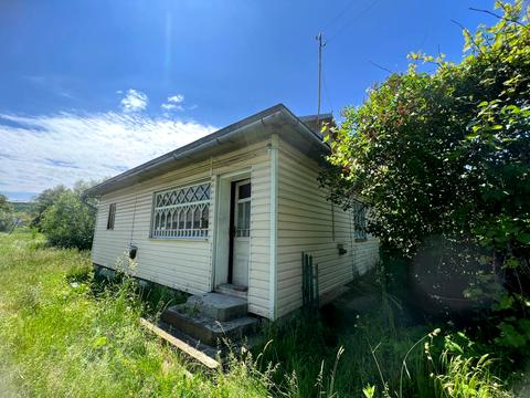 дом по адресу Синяка, 53