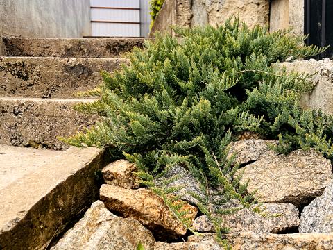 дом по адресу Гагарина ул.