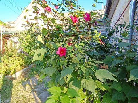 квартира по адресу Котельная ул., 10