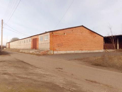 комерційна за адресою Соборна вул. (Леніна), 2