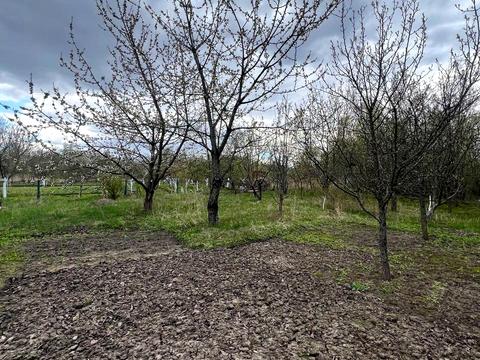 участок по адресу Хмельницкий, 