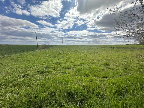 будинок за адресою с. Малі Коровинці, Вишнева, 20