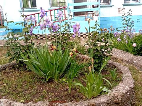 будинок за адресою 18 лінія